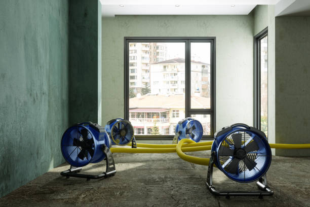 Local water damage restoration in Mims, FL