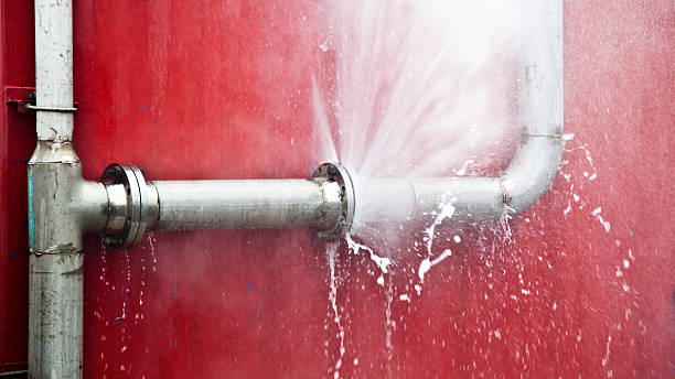 Best 24-hour water damage restoration  in Mims, FL